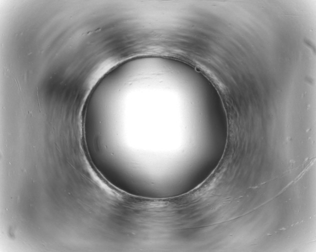 X0000093721479200710301015