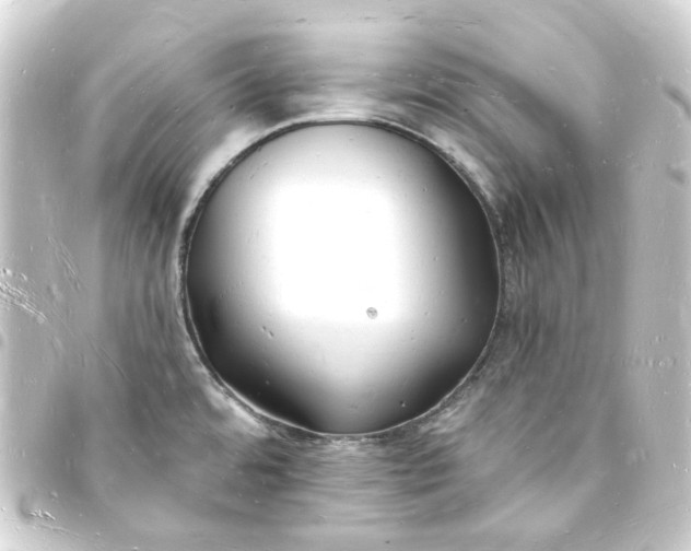 X0000093721480200710301015