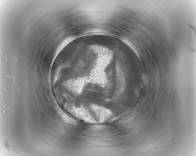 X0000093721482200710301015