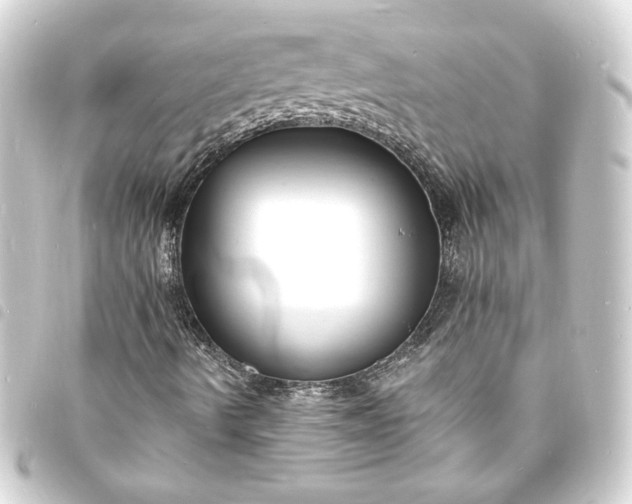 X0000093721490200710301014