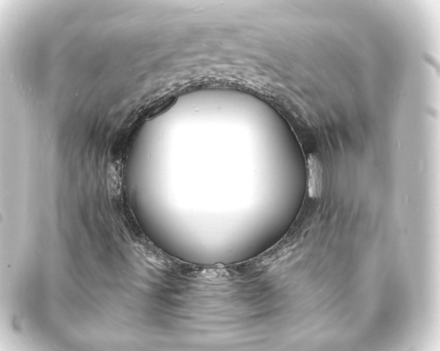 X0000093721491200710301014