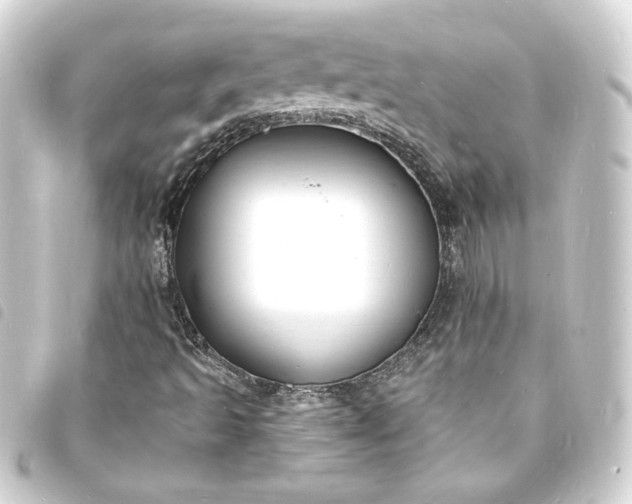 X0000093721493200710301014