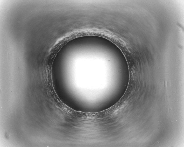 X0000093721494200710301014