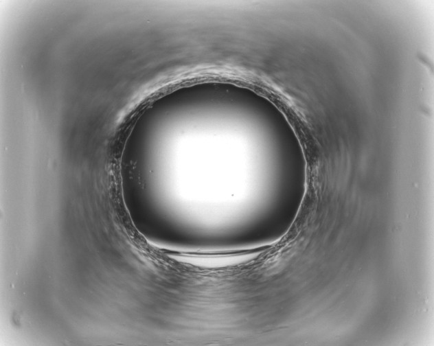 X0000093721496200710301014