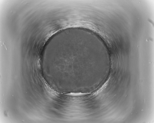 X0000093721497200710301014