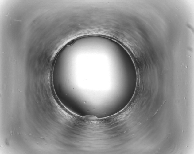 X0000093721500200710301014