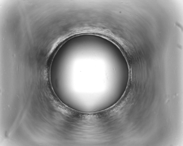 X0000093721501200710301014