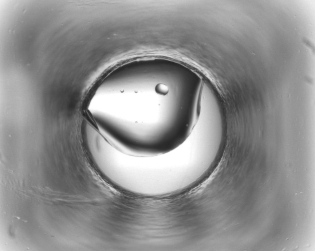 X0000093721502200710301014