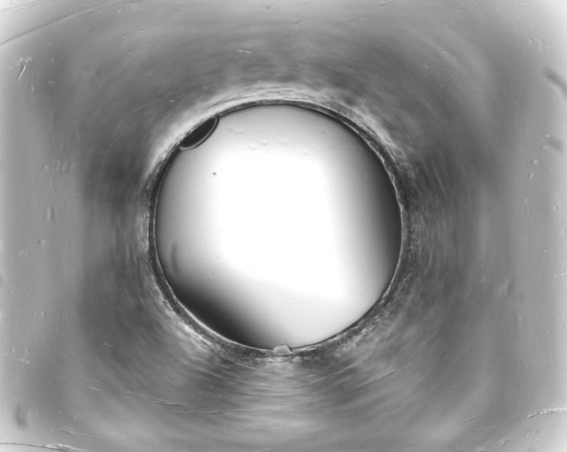 X0000093721504200710301014