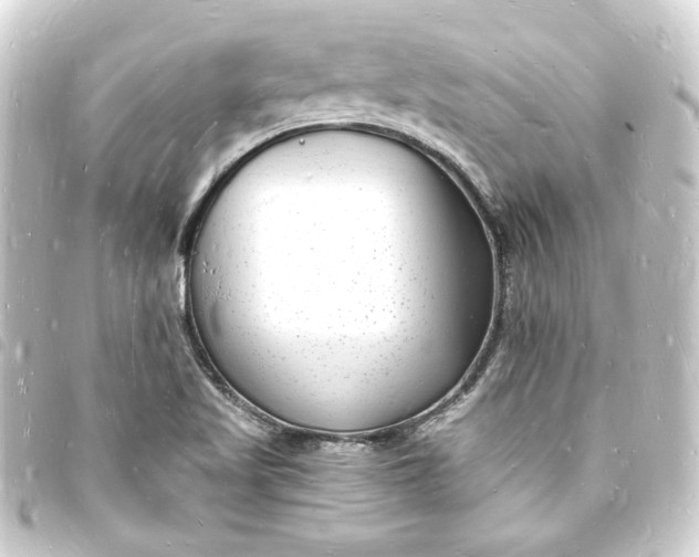 X0000093721509200710301014