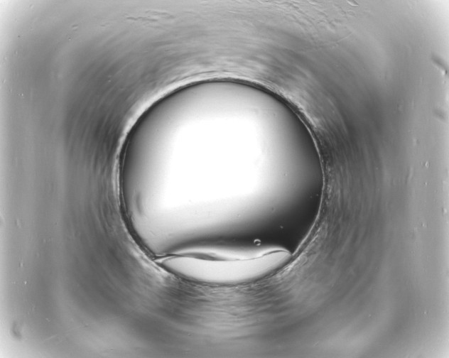 X0000093721516200710301014