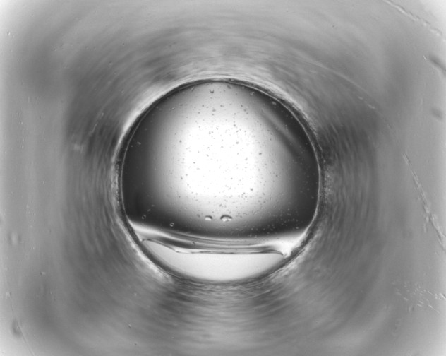 X0000093721517200710301014