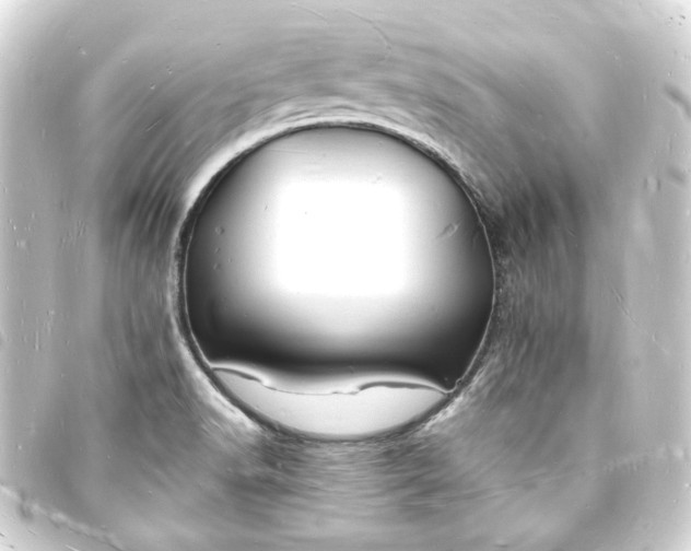X0000093721518200710301014