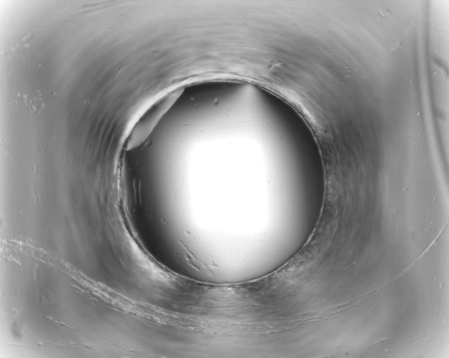 X0000093721524200710301014