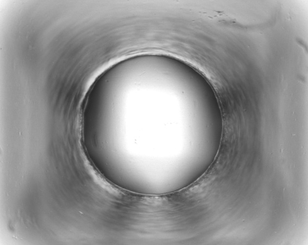 X0000093721526200710301014