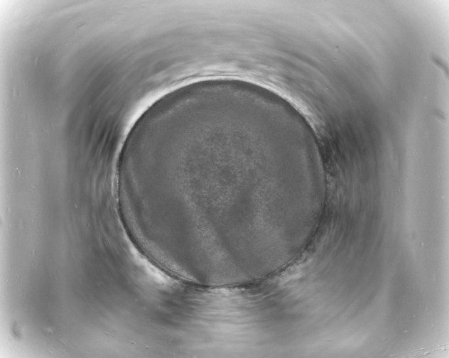 X0000093721527200710301014