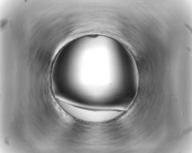 X0000093721530200710301014
