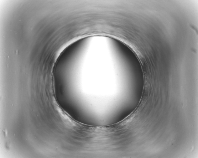 X0000093721534200710301014