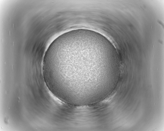 X0000093721535200710301014