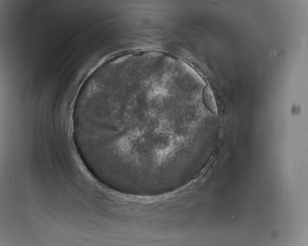 X0000093720002200711060948