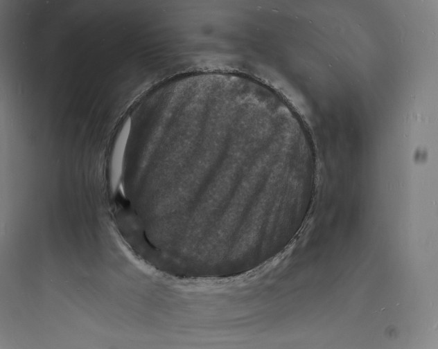 X0000093720009200711060948