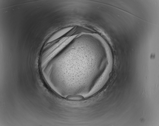 X0000093720010200711060948