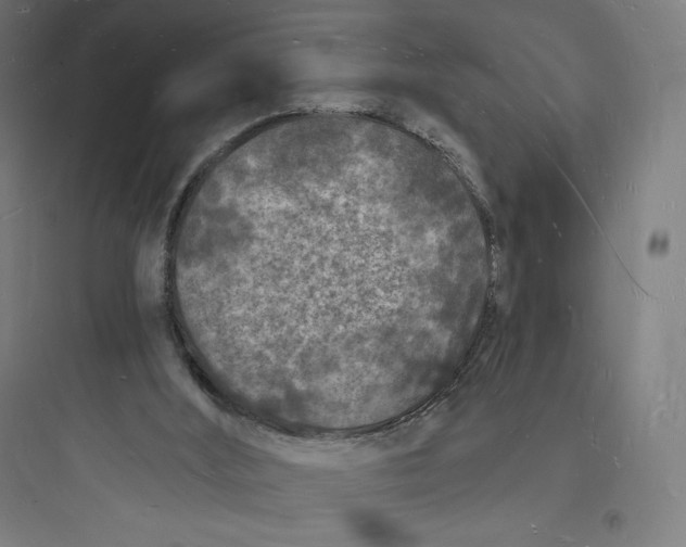 X0000093720012200711060948