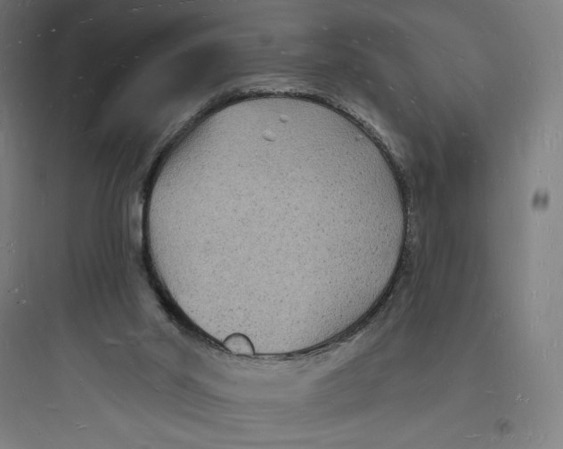 X0000093720014200711060948