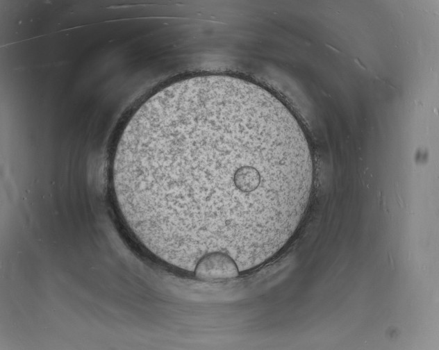 X0000093720016200711060948