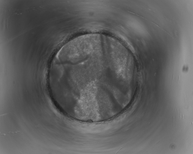 X0000093720018200711060948