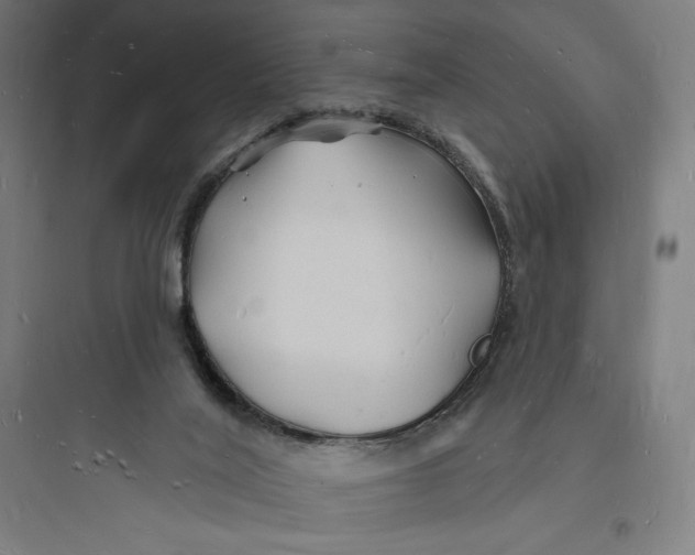 X0000093720020200711060948