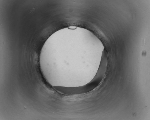 X0000093720025200711060948