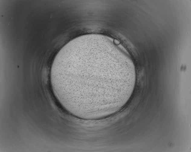 X0000093720026200711060948