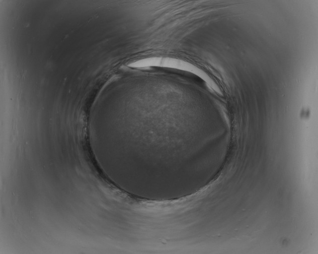 X0000093720029200711060948