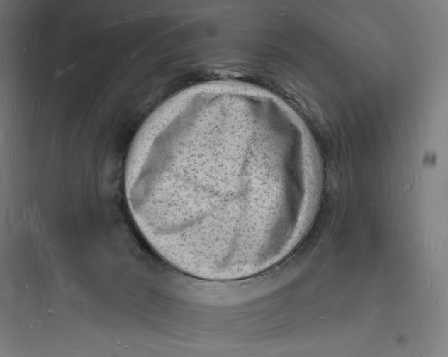 X0000093720030200711060948