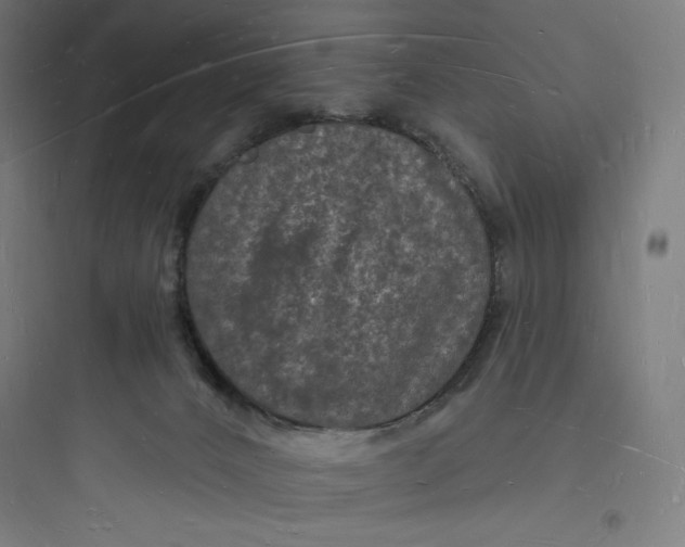 X0000093720032200711060948