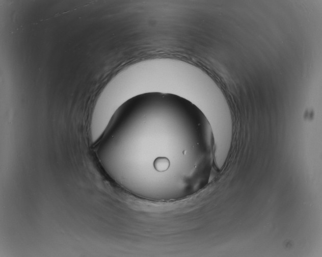 X0000093720039200711060948