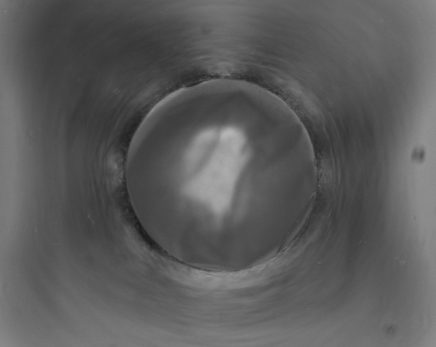 X0000093720043200711060947