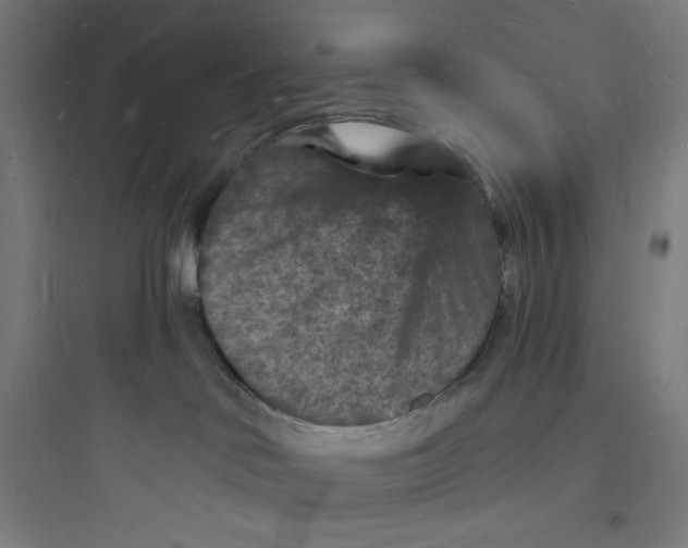 X0000093720046200711060947