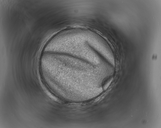 X0000093720049200711060946