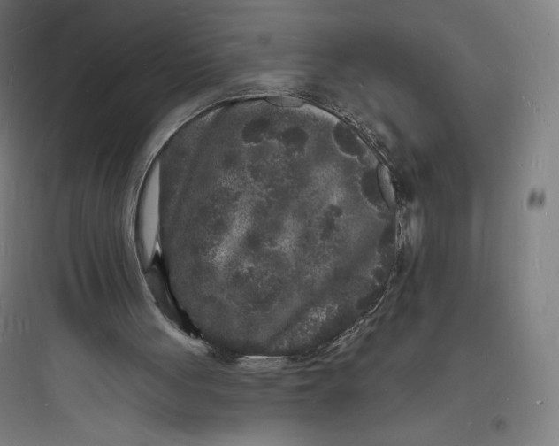 X0000093720051200711060946