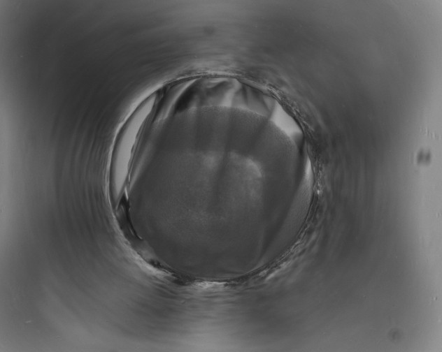 X0000093720052200711060946