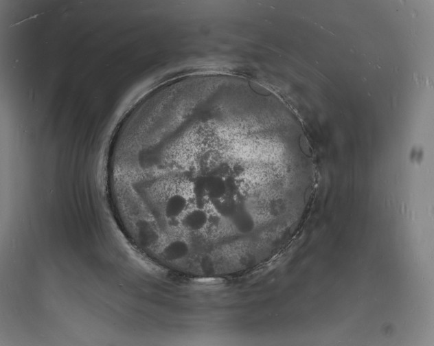 X0000093720053200711060946