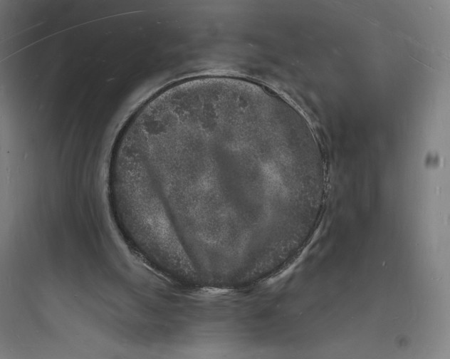 X0000093720055200711060946