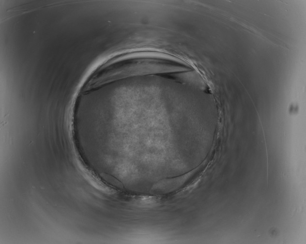 X0000093720056200711060947