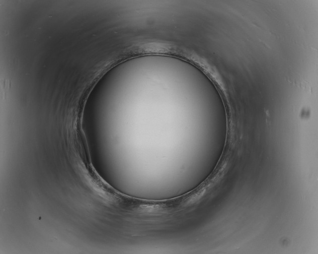 X0000093720057200711060947