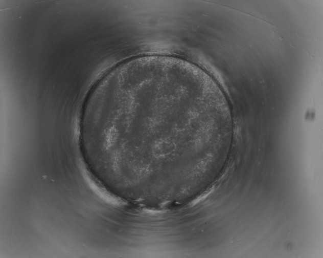 X0000093720059200711060947