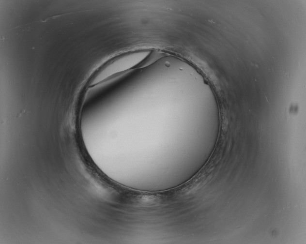 X0000093720060200711060947