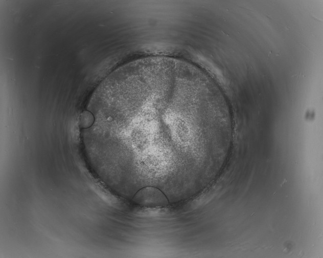 X0000093720065200711060947