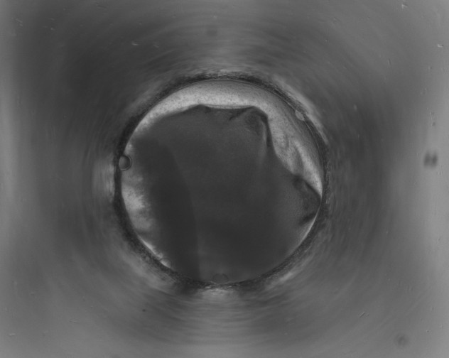 X0000093720067200711060947